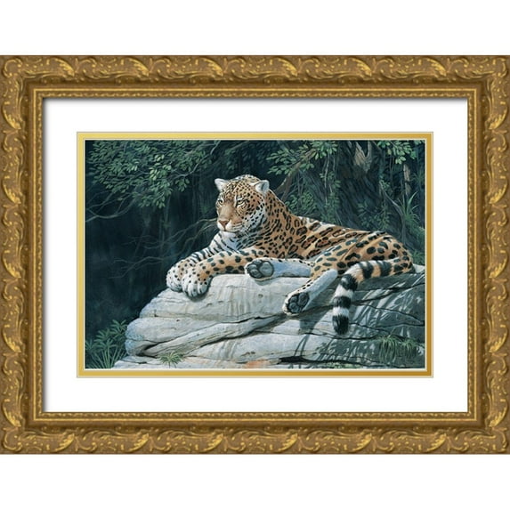 Unknown 24x17 Gold Ornate Wood Framed with Double Matting Museum Art Print Titled - Jaguar