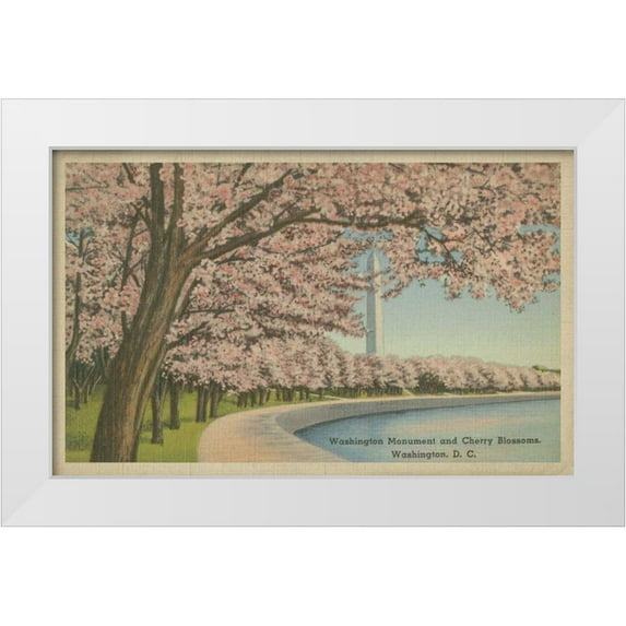 Unknown 24x17 White Modern Wood Framed Museum Art Print Titled - Wash. Monument and Cherry Blossoms