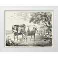 thumbnail image 1 of Unknown 24x19 White Modern Wood Framed Museum Art Print Titled - Rural Charms II, 1 of 4