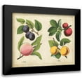 thumbnail image 1 of Unknown 24x20 Black Modern Framed Museum Art Print Titled - Kitchen Fruits I, 1 of 5