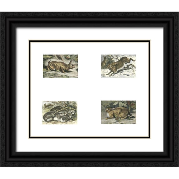 Unknown 24x20 Black Ornate Wood Framed with Double Matting Museum Art Print Titled - Micro Bunnies