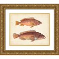 thumbnail image 1 of Unknown 24x20 Gold Ornate Wood Framed with Double Matting Museum Art Print Titled - Antique Fish Species I, 1 of 4
