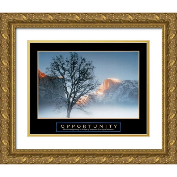 Unknown 24x20 Gold Ornate Wood Framed with Double Matting Museum Art Print Titled - Tree - Opportunity