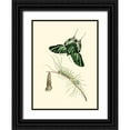thumbnail image 1 of Unknown 24x32 Black Ornate Wood Framed with Double Matting Museum Art Print Titled - Butterfly Transformation II, 1 of 4