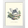 thumbnail image 1 of Unknown 25x32 White Modern Wood Framed Museum Art Print Titled - French Dogs IV, 1 of 4