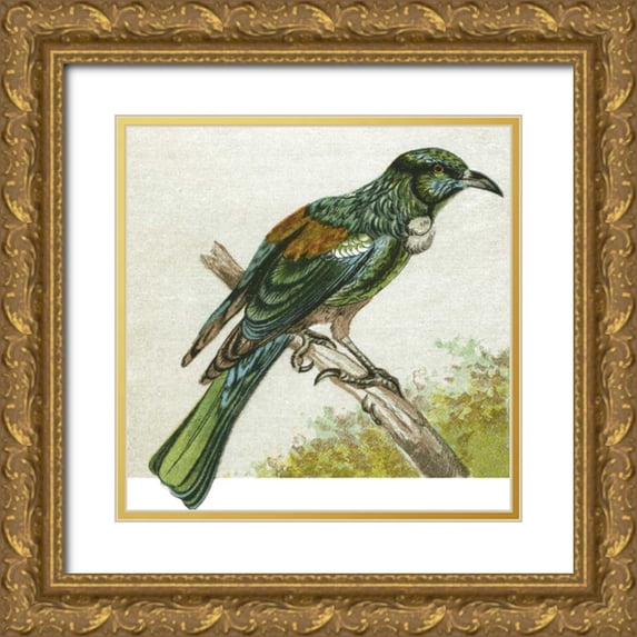 Unknown 26x26 Gold Ornate Wood Framed with Double Matting Museum Art Print Titled - Mini Vintage Birds IX
