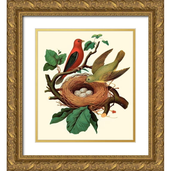 Unknown 26x29 Gold Ornate Wood Framed with Double Matting Museum Art Print Titled - Feathering Nest II