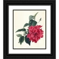 thumbnail image 1 of Unknown 26x30 Black Ornate Wood Framed with Double Matting Museum Art Print Titled - Rose Hibiscus I, 1 of 4