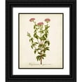 thumbnail image 1 of Unknown  26x32 Black Ornate Wood Framed with Double Matting Museum Art Print Titled - Antique Herb Botanical I, 1 of 4