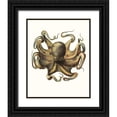 thumbnail image 1 of Unknown 26x32 Black Ornate Wood Framed with Double Matting Museum Art Print Titled - Antique Octopus Collection VII, 1 of 4