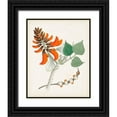 thumbnail image 1 of Unknown 26x32 Black Ornate Wood Framed with Double Matting Museum Art Print Titled - Botanical of the Tropics I, 1 of 4