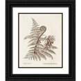 thumbnail image 1 of Unknown 26x32 Black Ornate Wood Framed with Double Matting Museum Art Print Titled - Sepia Fern Varieties I, 1 of 4