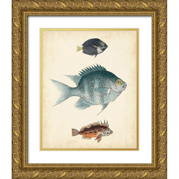Unknown 26x32 Gold Ornate Wood Framed with Double Matting Museum Art Print Titled - Antique Fish Species III