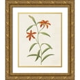 thumbnail image 1 of Unknown 26x32 Gold Ornate Wood Framed with Double Matting Museum Art Print Titled - Flowers of the Seasons III, 1 of 4