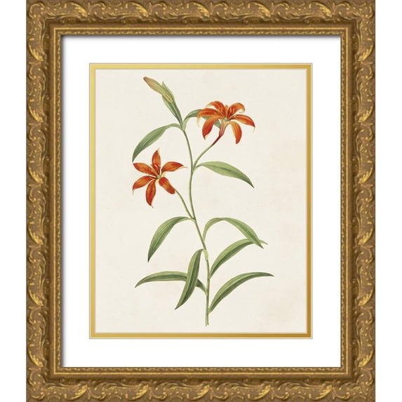 Unknown 26x32 Gold Ornate Wood Framed with Double Matting Museum Art Print Titled - Flowers of the Seasons III