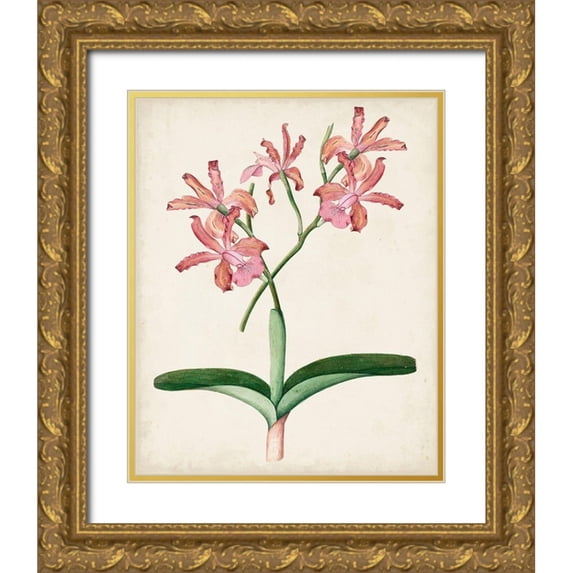 Unknown 26x32 Gold Ornate Wood Framed with Double Matting Museum Art Print Titled - Orchid Pair I