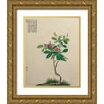 thumbnail image 1 of Unknown 26x32 Gold Ornate Wood Framed with Double Matting Museum Art Print Titled - Oriental Bamboo, 1 of 4
