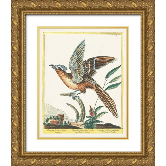 Unknown 26x32 Gold Ornate Wood Framed with Double Matting Museum Art Print Titled - Pastel Birds IV