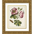 thumbnail image 1 of Unknown 26x32 Gold Ornate Wood Framed with Double Matting Museum Art Print Titled - Pink Rose, 1 of 4