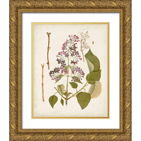 Unknown  26x32 Gold Ornate Wood Framed with Double Matting Museum Art Print Titled - Vintage Flowering Trees II