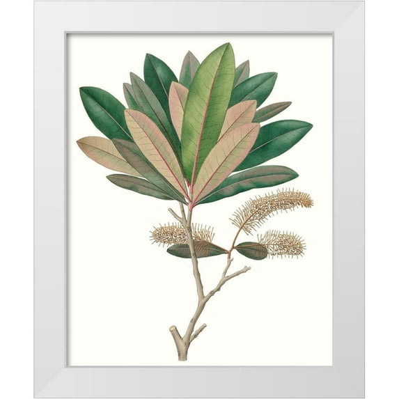 Unknown 26x32 White Modern Wood Framed Museum Art Print Titled - Fall Foliage VI