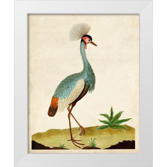Unknown 26x32 White Modern Wood Framed Museum Art Print Titled - Heron Portrait I