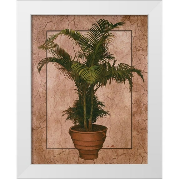 Unknown 26x32 White Modern Wood Framed Museum Art Print Titled - Potted Palm II