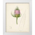 thumbnail image 1 of Unknown  26x32 White Modern Wood Framed Museum Art Print Titled - Watercolor Botanical Sketches VIII, 1 of 4