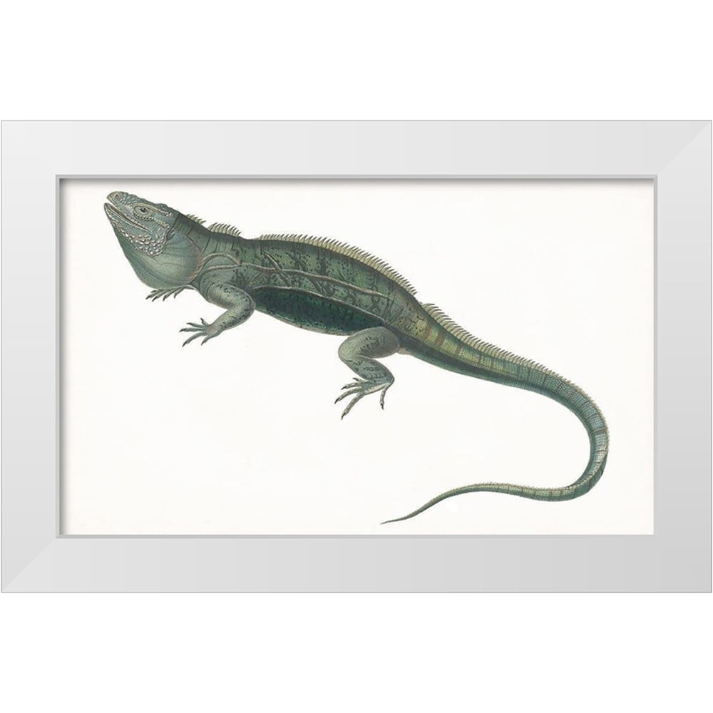Unknown 32x21 White Modern Wood Framed Museum Art Print Titled ...