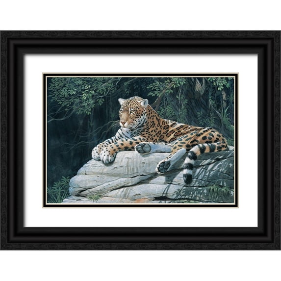 Unknown 32x23 Black Ornate Wood Framed with Double Matting Museum Art Print Titled - Jaguar