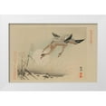 thumbnail image 1 of Unknown 32x23 White Modern Wood Framed Museum Art Print Titled - Flying Cranes, 1 of 4