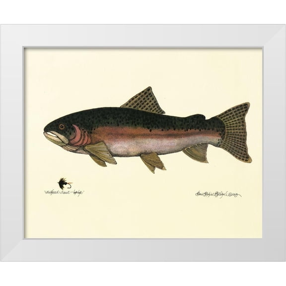 Unknown 32x26 White Modern Wood Framed Museum Art Print Titled - Steelhead Trout