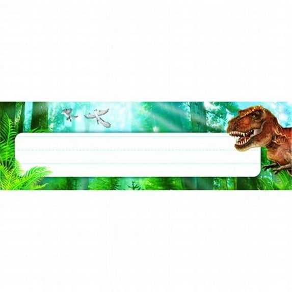Unknown 36 Count, 2.88 x 9.5 Inches Discovering Dinosaurs