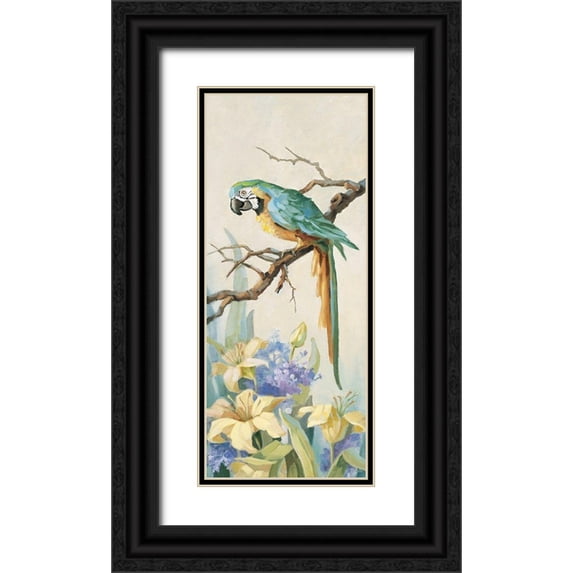 Unknown 8x14 Black Ornate Wood Framed with Double Matting Museum Art Print Titled - Parrot Panel II
