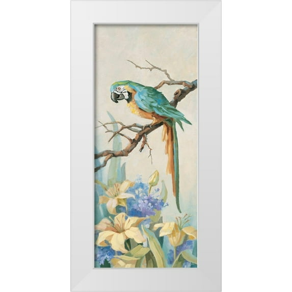 Unknown 8x14 White Modern Wood Framed Museum Art Print Titled - Parrot Looking Down