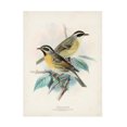 thumbnail image 1 of Unknown 'Antique Birds I' Canvas Art, 1 of 3