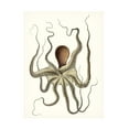 thumbnail image 1 of Unknown 'Antique Octopus Collection I' Canvas Art, 1 of 4