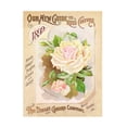 thumbnail image 1 of Unknown 'Antique Seed Packets IX' Canvas Art, 1 of 3