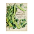 thumbnail image 1 of Unknown 'Antique Seed Packets V' Canvas Art, 1 of 3