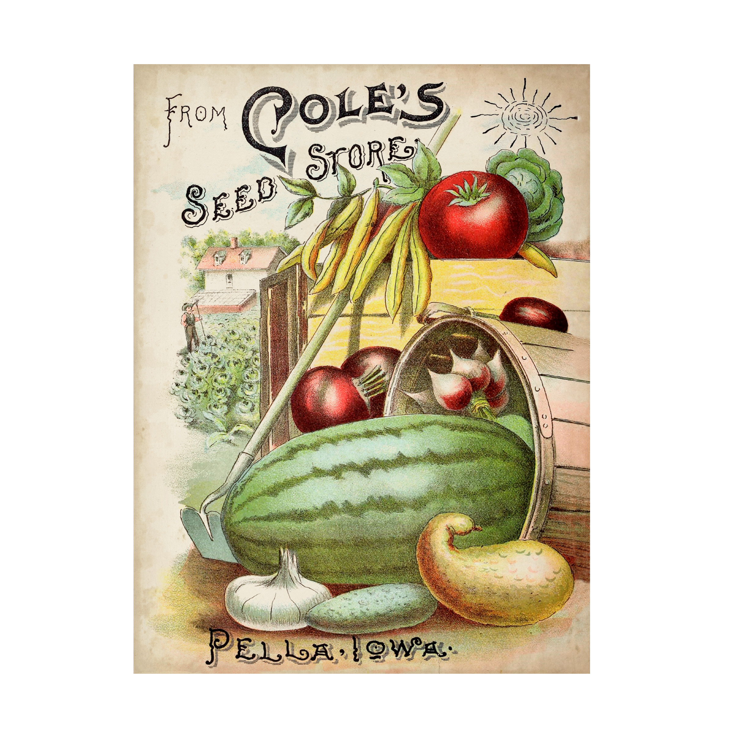 Unknown 'Antique Seed Packets VI' Canvas Art