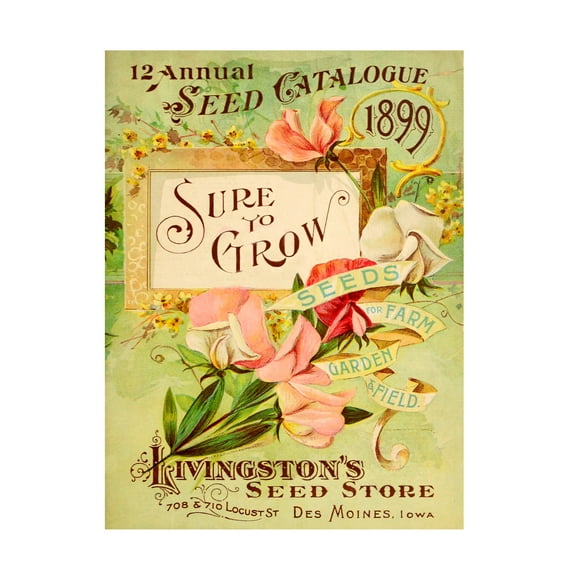 Unknown 'Antique Seed Packets VIII' Canvas Art