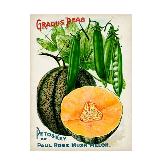 Unknown 'Antique Seed Packets X' Canvas Art