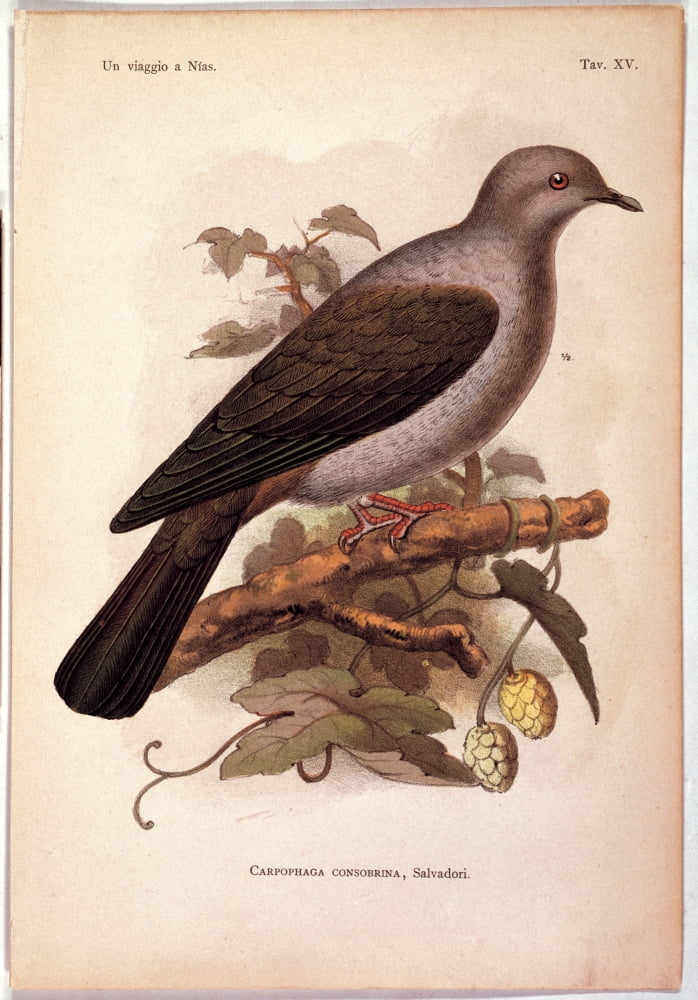 Unknown Canvas Art - (18 x 24)