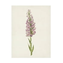 Unknown 'Mauve Garden Flowers I' Canvas Art