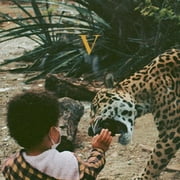 Unknown Mortal Orchestra - V - Music & Performance - Vinyl