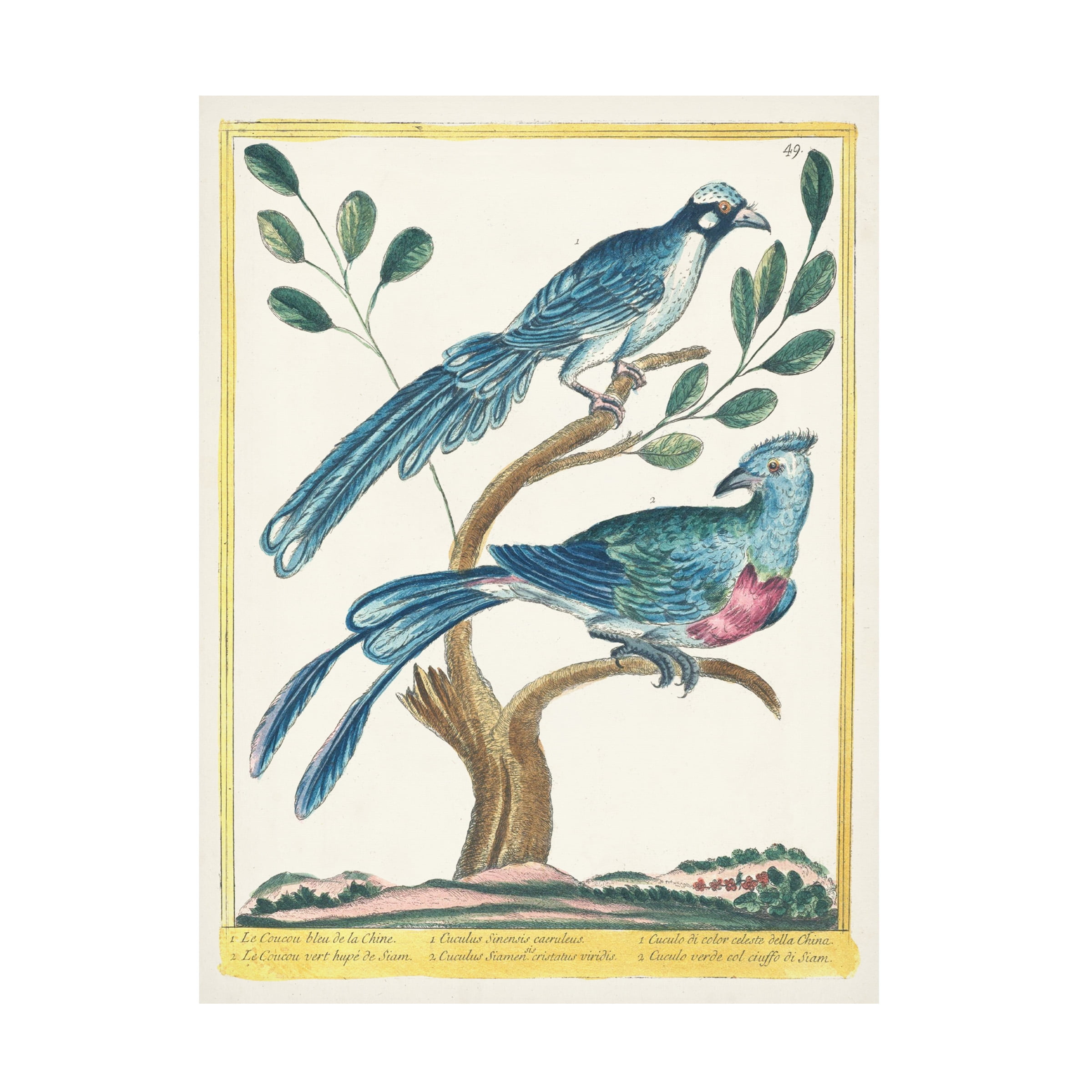 Vintage Blue and Green Birds on Branch Canvas Art