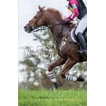thumbnail image 1 of Taking Off  Equestrian Romance Series   Paperback  1692568930 9781692568931 Laurie Berglie, 1 of 1