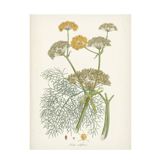 Unknown 'Saffron Botanicals II' Canvas Art