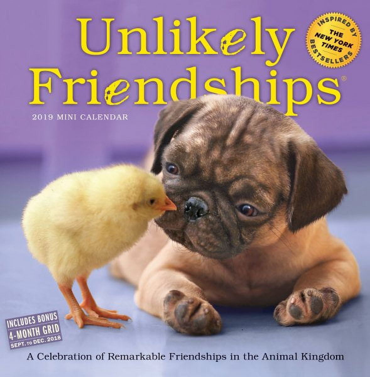 Unlikely Friendships Calendar 2019 - Walmart.com