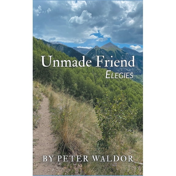 Unmade Friend - Elegies (Hardcover)